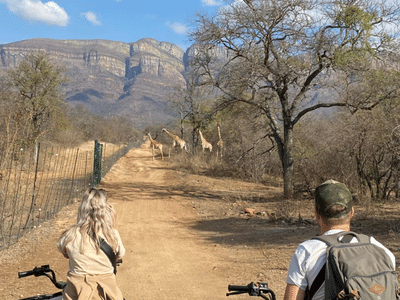 Giraffe Crossing The Road Infront Of Quad Bike Safari Riders